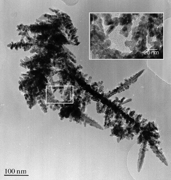 ������� 8